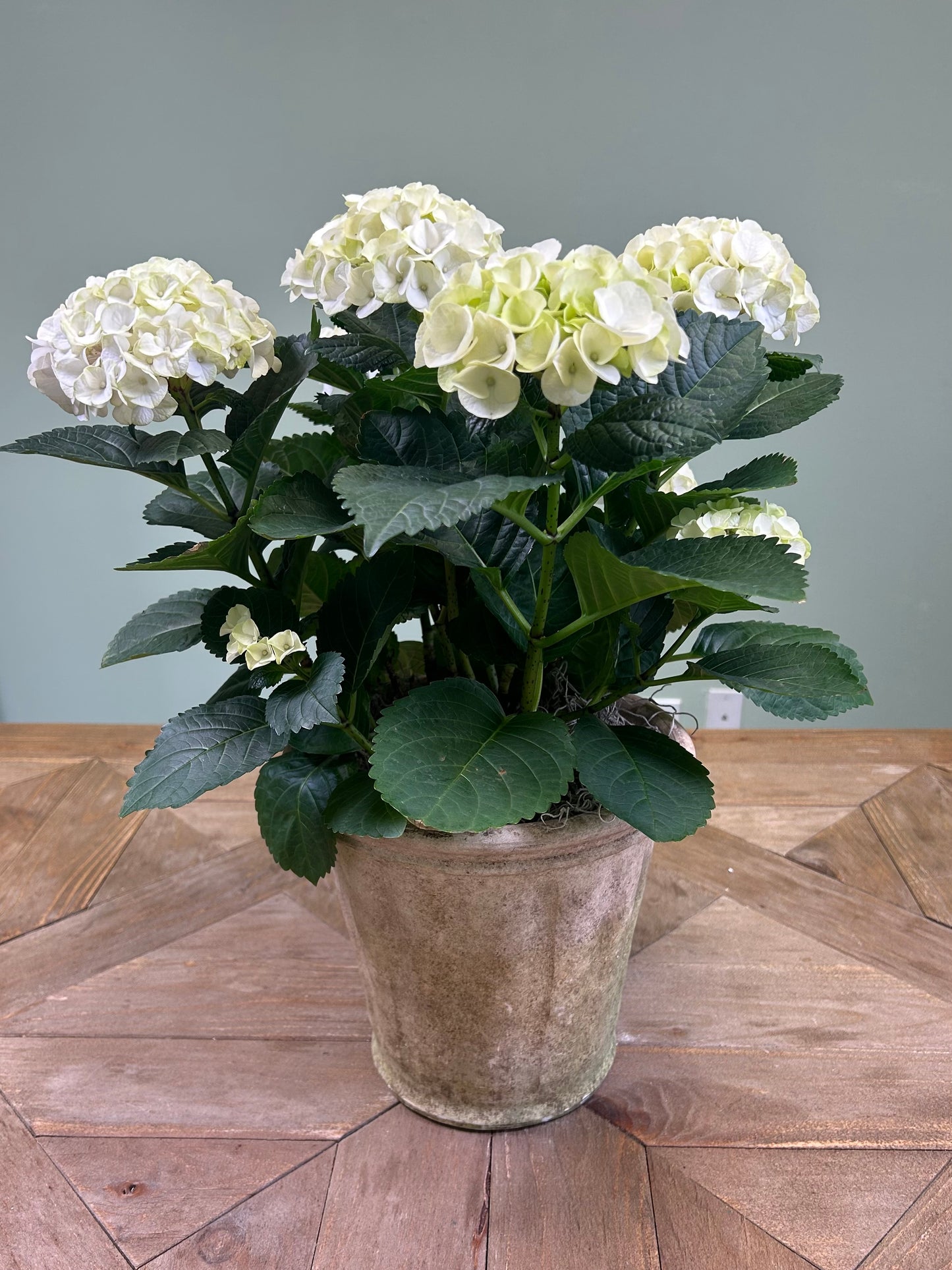 Vase Sympathy Florals